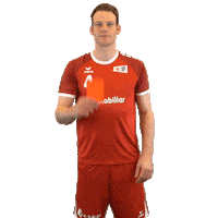 swisshandball_official handball schweiz swiss rubin Sticker