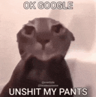 Okgoogle GIF