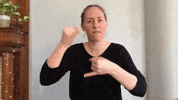 Asl Decide GIF