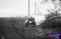 Never Give Up Fox GIF by EVA STAR RACING