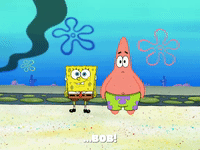 season 6 squid's visit GIF by SpongeBob SquarePants