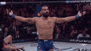 Mixed Martial Arts Sport GIF by UFC