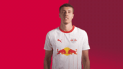 Red Bull Celebration GIF by RB Leipzig