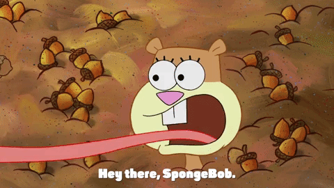 season 9 episode 23 GIF by SpongeBob SquarePants