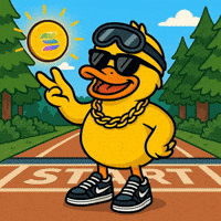 Crypto Racing GIF by DUCKCOIN