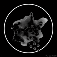 pislices loop 3d trippy black and white GIF
