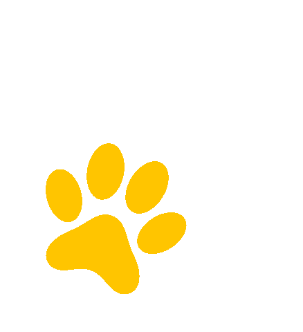 Mimosacommunication giphyupload dog chien clic Sticker