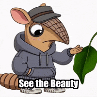 Appreciation See The Beauty GIF by Chillo Dillo