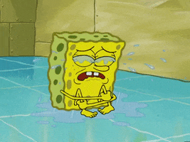 season 4 GIF by SpongeBob SquarePants