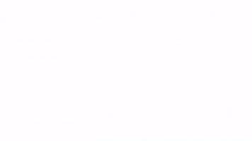 animal rescue cat GIF by Rewire.org