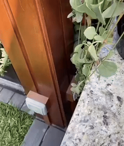 GIPHYGIP1 giphyupload GIF