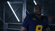 Go Blue Ncaa Football GIF by Michigan Athletics