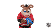 Ice Hockey Eating GIF by NHL