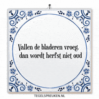 Nl Spreuk GIF by Tegelspreuken.nl