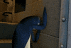 wall GIF