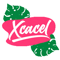 Angel_Meraw riviera maya quintana roo xcacel Sticker