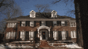 Meme Home GIF by Murphys Magic