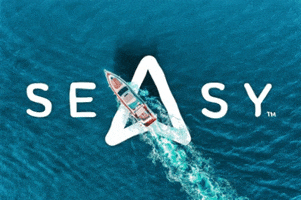 SeasyOfficial brand sailing seasy making-sea-life-easy GIF