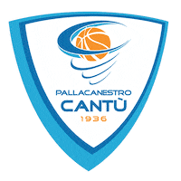 nba basketball Sticker