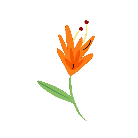 Flower Plant Sticker