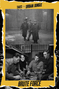 GIF by Arrow Academy