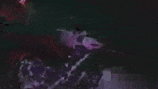 Division No Sympathy GIF by Jenevieve