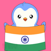 India Flag Penguin GIF by Pudgy Penguins