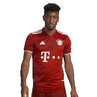 Whats Up Hello Sticker by FC Bayern Munich