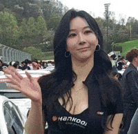 Model GIF