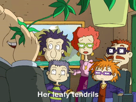 all grown up nicksplat GIF