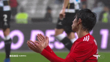 sl benfica clap GIF by Sport Lisboa e Benfica