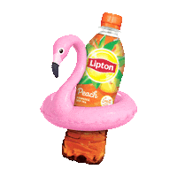 LiptonRomania fun cool summer beach Sticker