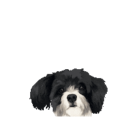 Pet Sticker by Pickle's Pawtraits