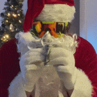 Santa Claus Money GIF by Luke Westen