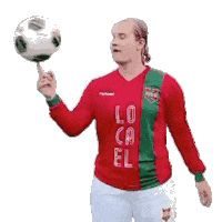 Haarlem Sticker by DSS Voetbal