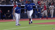 EliteSportsTours blue jays toronto blue jays jays bluejays GIF