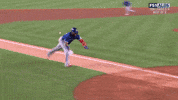 Blue Jays Sport GIF by MLB