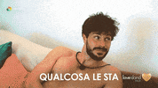 LoveIslandItalia reaction love tv show wolf GIF