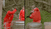 Smash Sledge Hammer GIF by The Traitors Australia