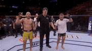 ufc sports sport ufc mma GIF