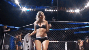 ufc 213 GIF