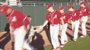 fun baseball GIF