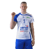 Volleyball Volley Sticker by VERVA Warszawa ORLEN Paliwa