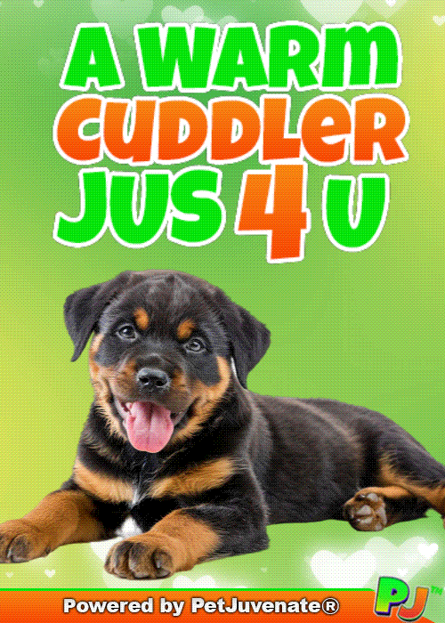 PetJuvenate petjuvenate henlo hooman fren love rescue dogs treatos and woofer for pupper GIF