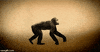 evolution humans GIF