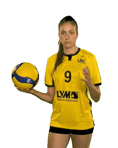 USC_Muenster giphyupload ball volleyball vbl Sticker