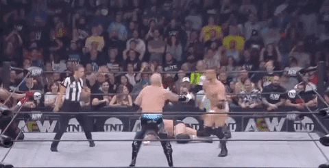 Andy Williams Bunny GIF by All Elite Wrestling on TNT