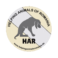 Dog Helping Sticker by helpinganimalsromania