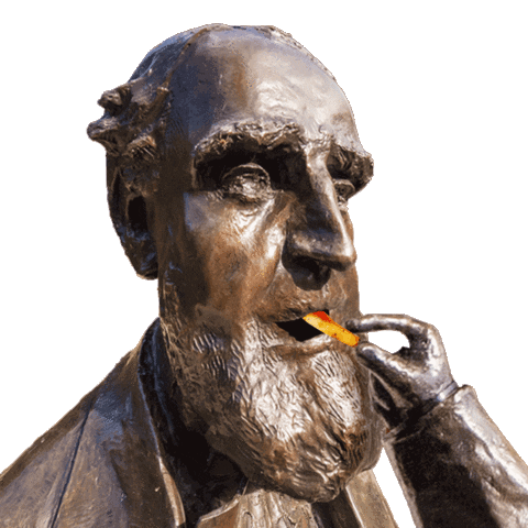 French Fries Sticker by Lehigh University