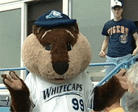 grand rapids dancing GIF by West Michigan Whitecaps 